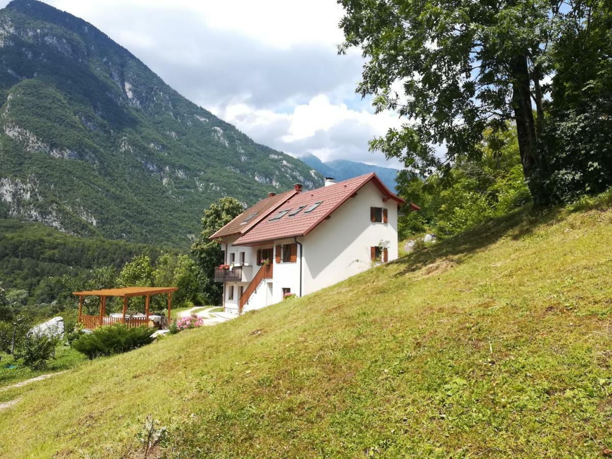 Apartma Ana Ida Srpenica Extérieur photo